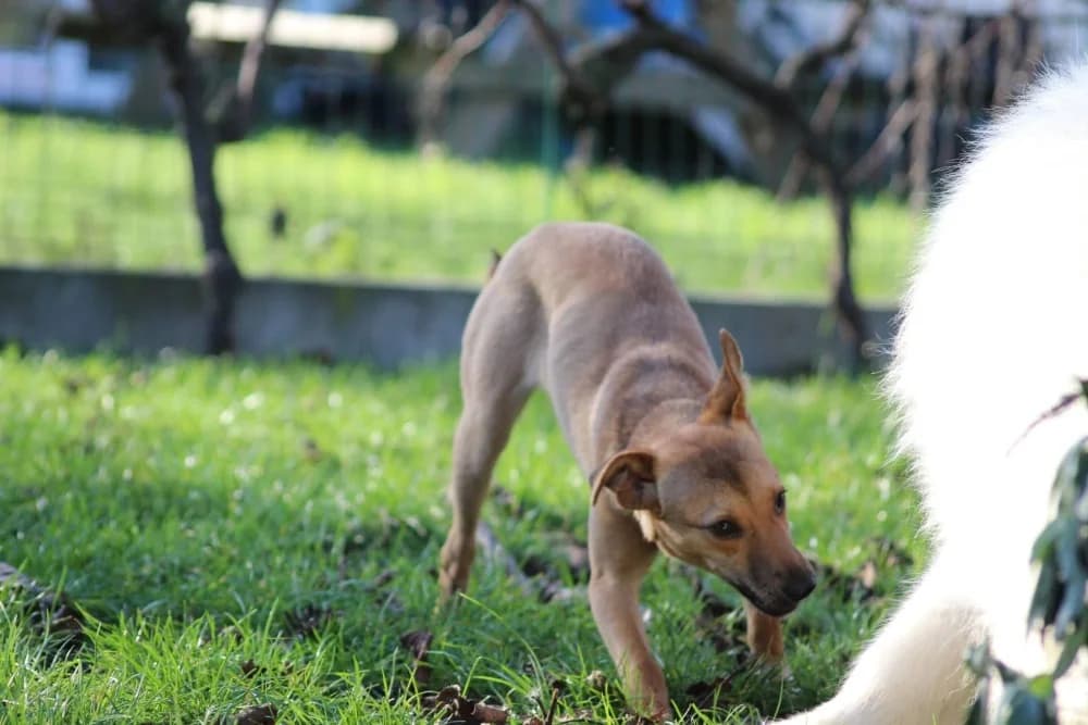 ❤️Abby❤️ – in België photo 3