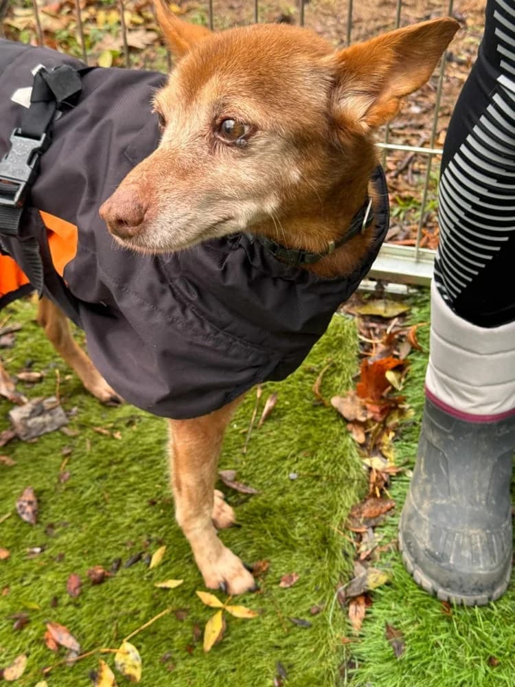 pepa BR senior photo 5