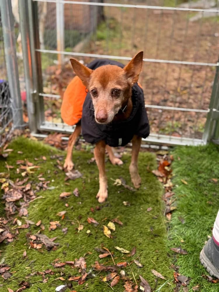 pepa BR senior photo 8