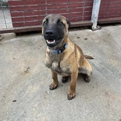 PEACHES 24396 photo 6