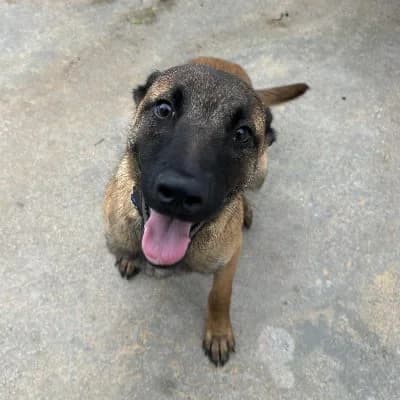 PEACHES 24396 photo 8