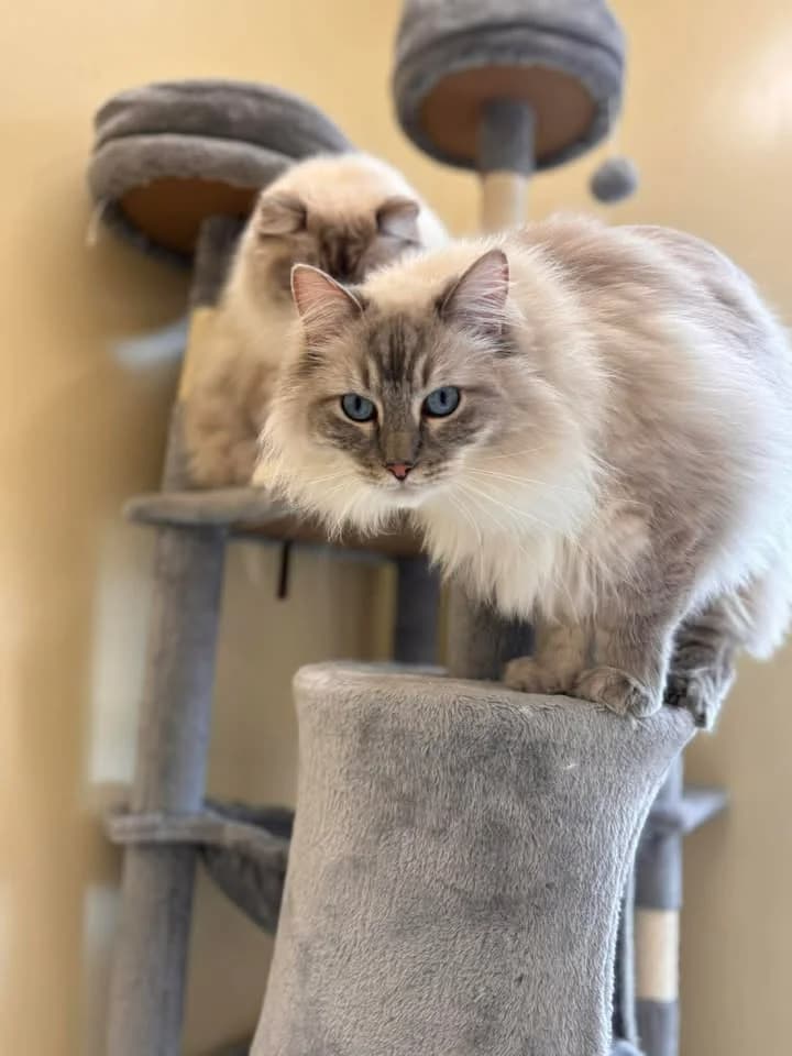 Robin & Léo photo 2