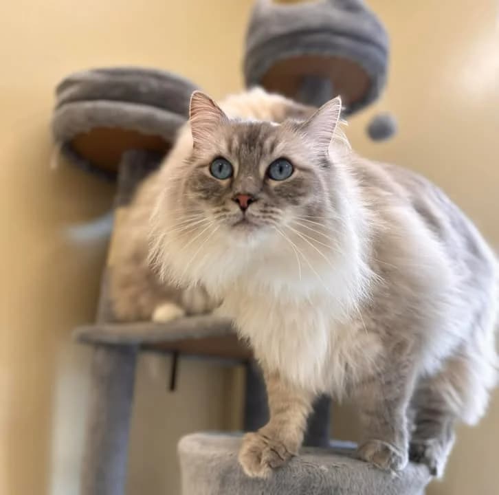 Robin & Léo photo 3