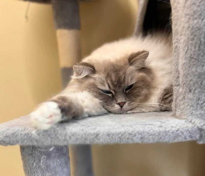 Robin & Léo photo 4