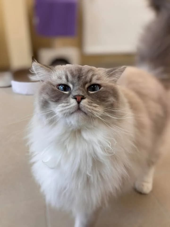 Robin & Léo photo 5