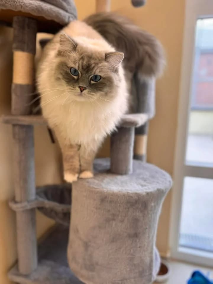 Robin & Léo photo 6