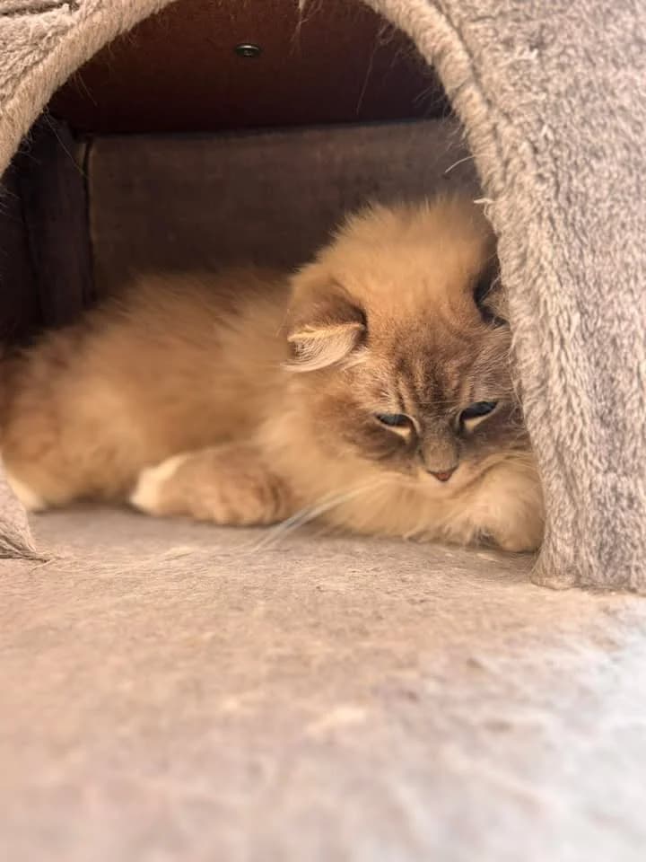 Robin & Léo photo 7