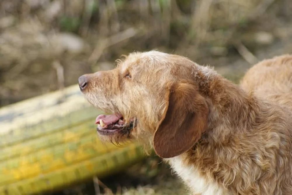 ❤️Elias❤️ photo 5