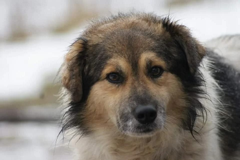 ❤️Franklin❤️