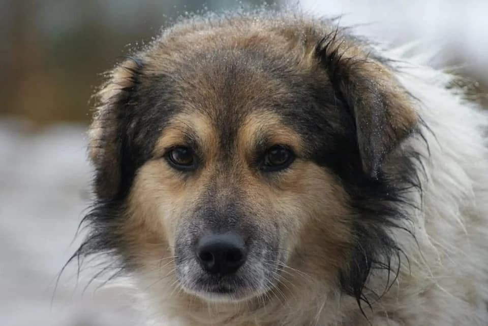 ❤️Franklin❤️ photo 2