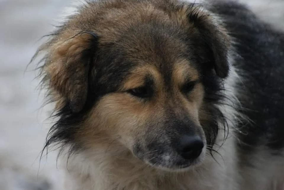 ❤️Franklin❤️ photo 5