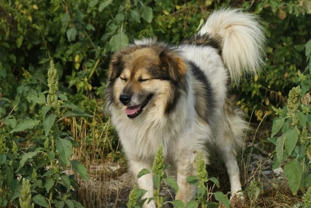 ❤️Franklin❤️ photo 6