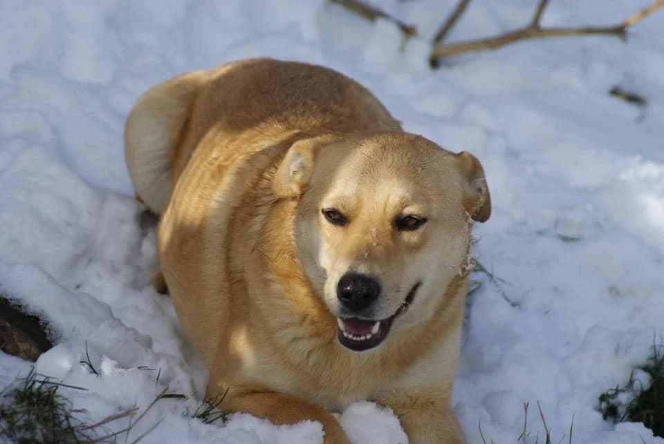 ❤️Fred❤️ photo 2