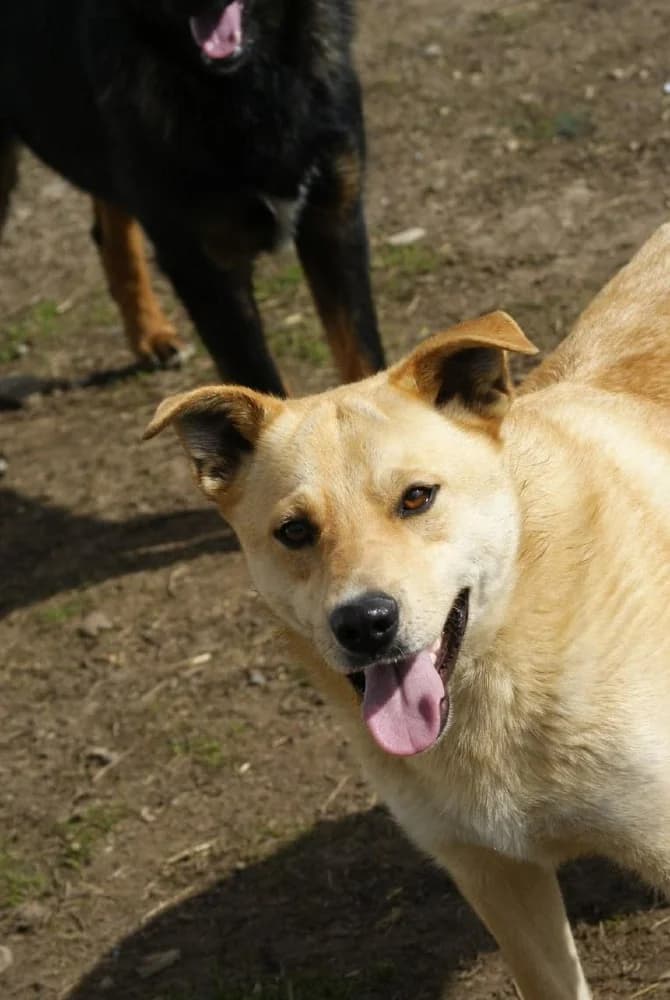 ❤️Fred❤️ photo 8