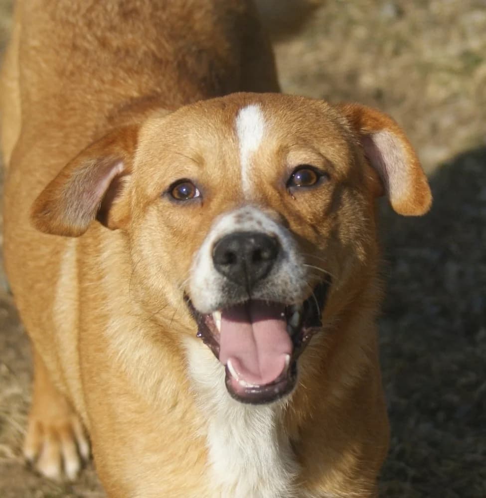 ❤️Kiko❤️ photo 2