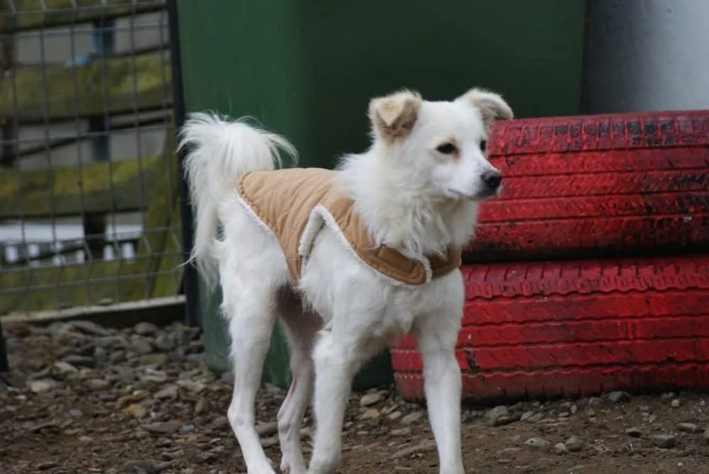 ❤️Murphy❤️ photo 7