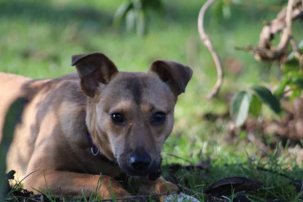 ❤️Abby❤️ – in België photo 2