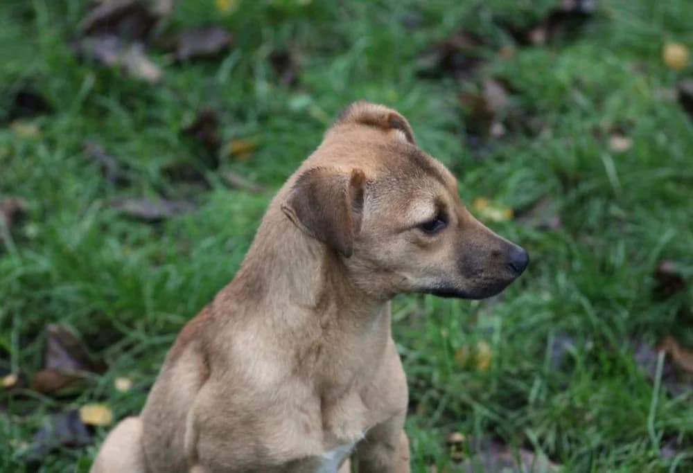 ❤️Abby❤️ – in België photo 4