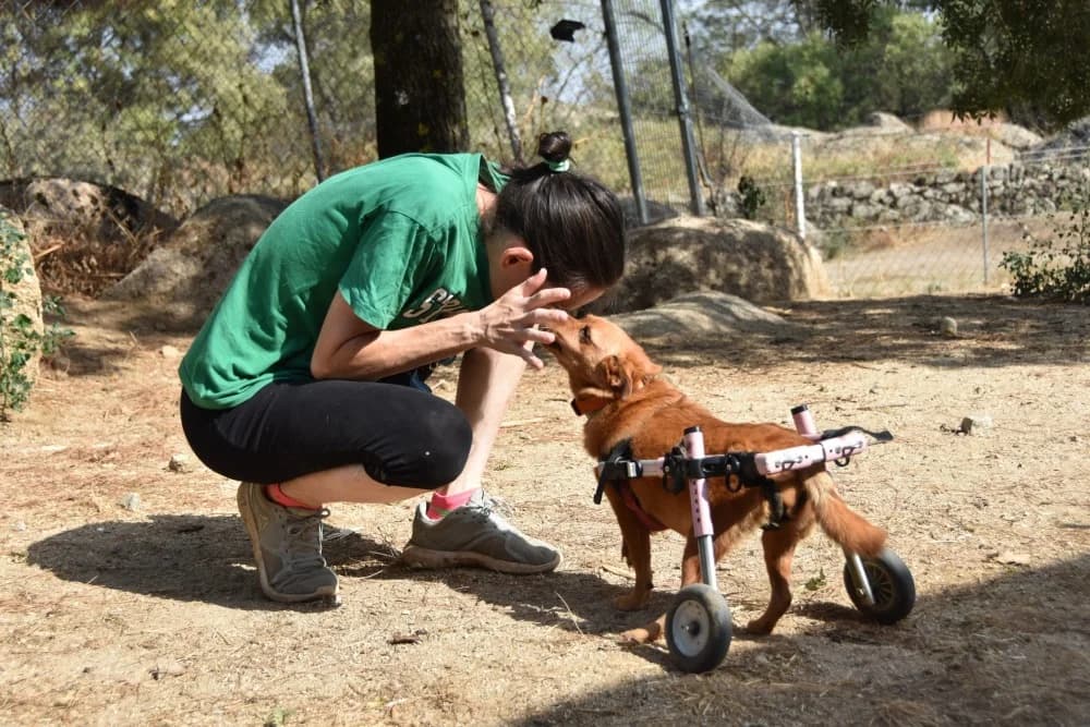 Adi BR, handicap photo 3