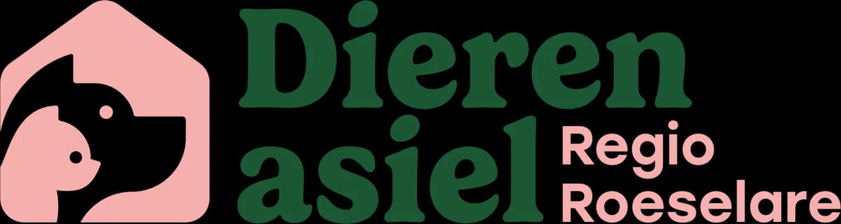 Kastaar, male Mixed Breed for adoption at Adopteereendier, Brussels — photo 2 of 2