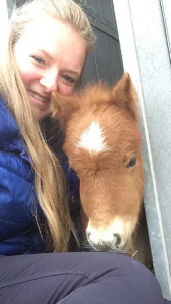 SB, female Mixed Breed for adoption at Animal Sans Toit, Faimes — photo 4 of 9