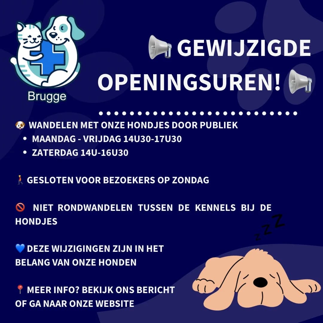 Afspraken inzake wandelingen,  Mixed Breed for adoption at Het Blauwe Kruis Brugge, Blauwe Kruis Brugge photo 2