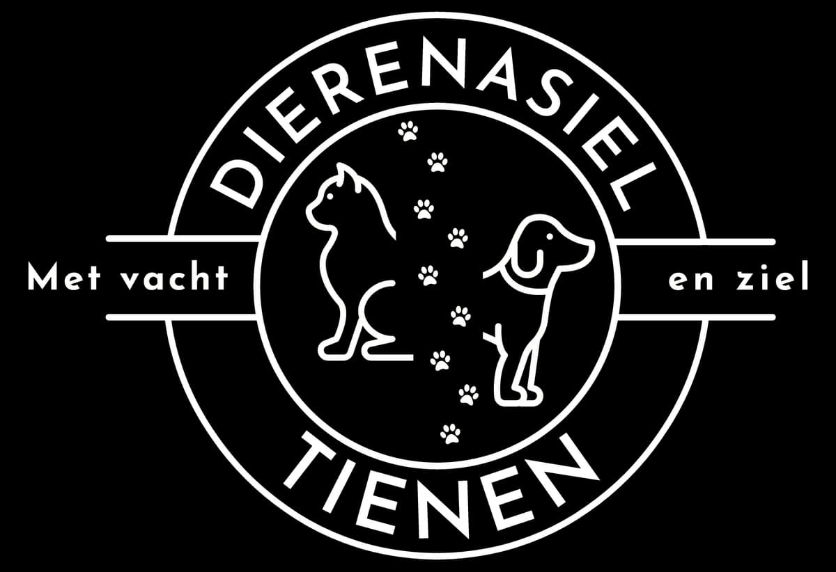 Kenzo, male Pug for adoption at Dierenasiel Tienen — photo 6 of 6