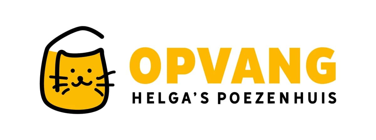 O'NOORTJE, female young Mixed Breed for adoption at Huisdierenhulp Plus vzw (HPHO)