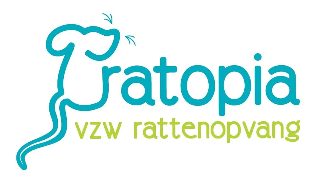 Shadow, male young mixed breed for adoption at Rattenopvang Ratopia vzw