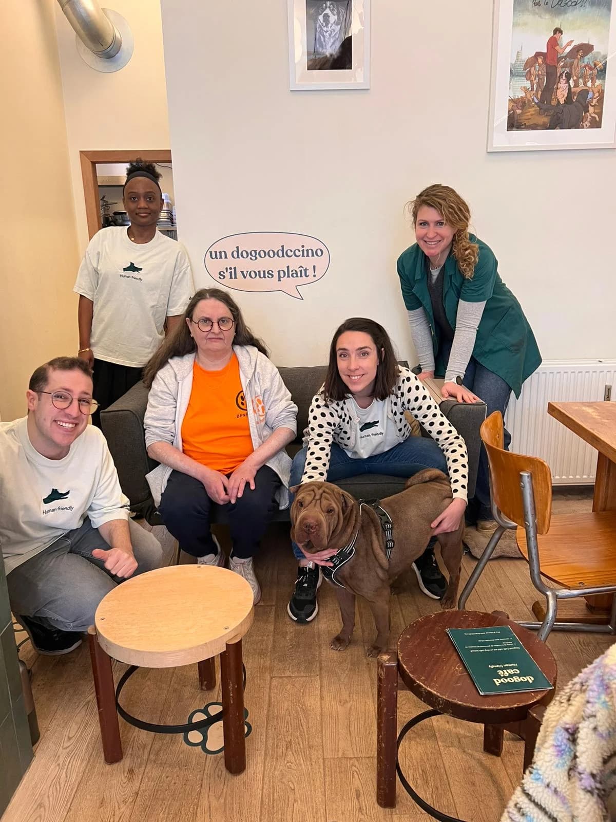 Kira, female mixed breed for adoption at Perwez), Sans Collier photo 2