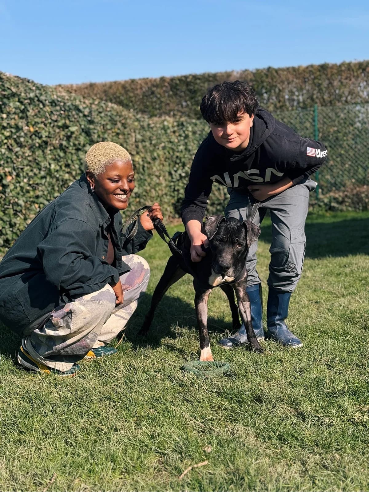 Lucky, male American Staffordshire Terrier for adoption at Perwez), Sans Collier photo 2