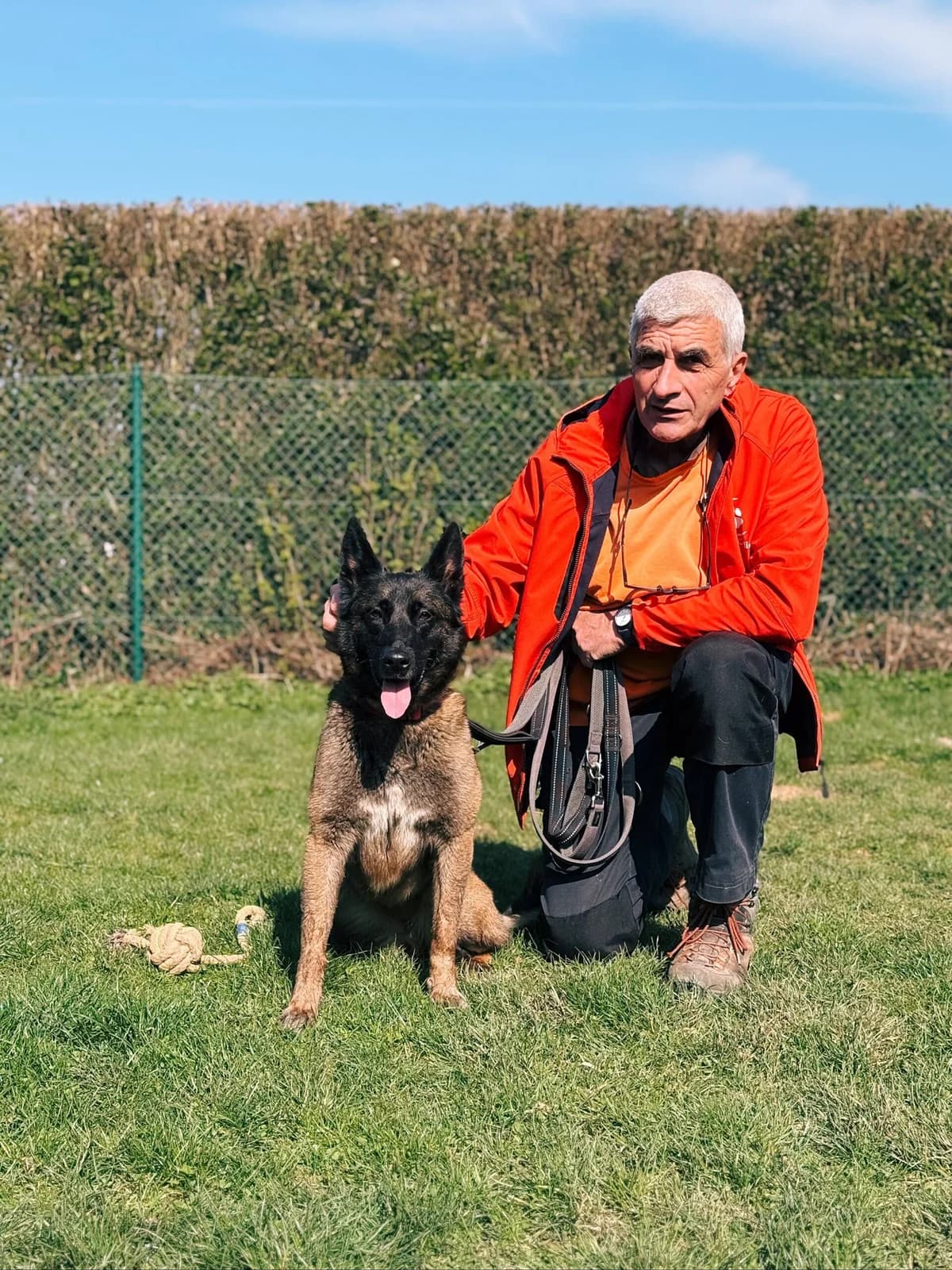 Shana, female Belgian Malinois for adoption at Perwez), Sans Collier photo 6