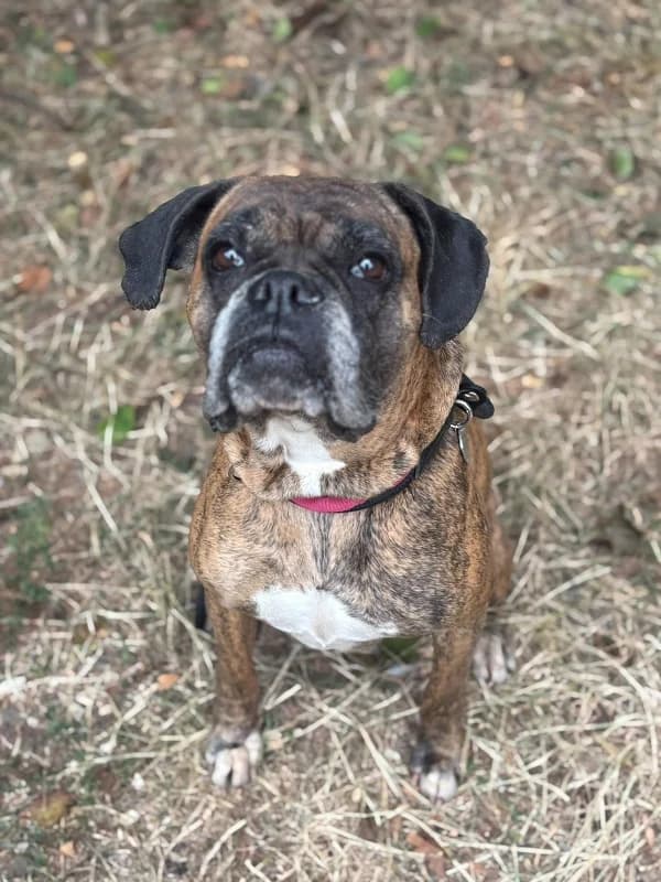 Nana,  (SPA Charleroi)