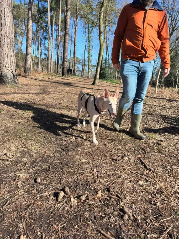 Coco, in België photo 6