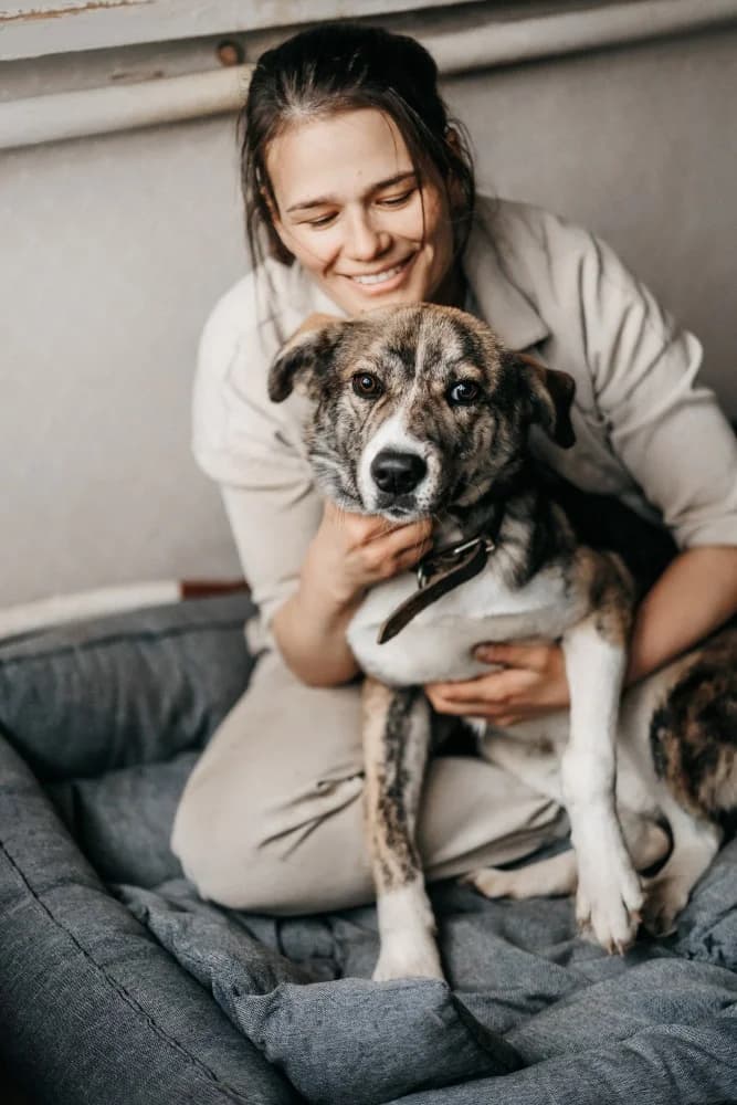 Dappere Mitya zoekt jouw! photo 8