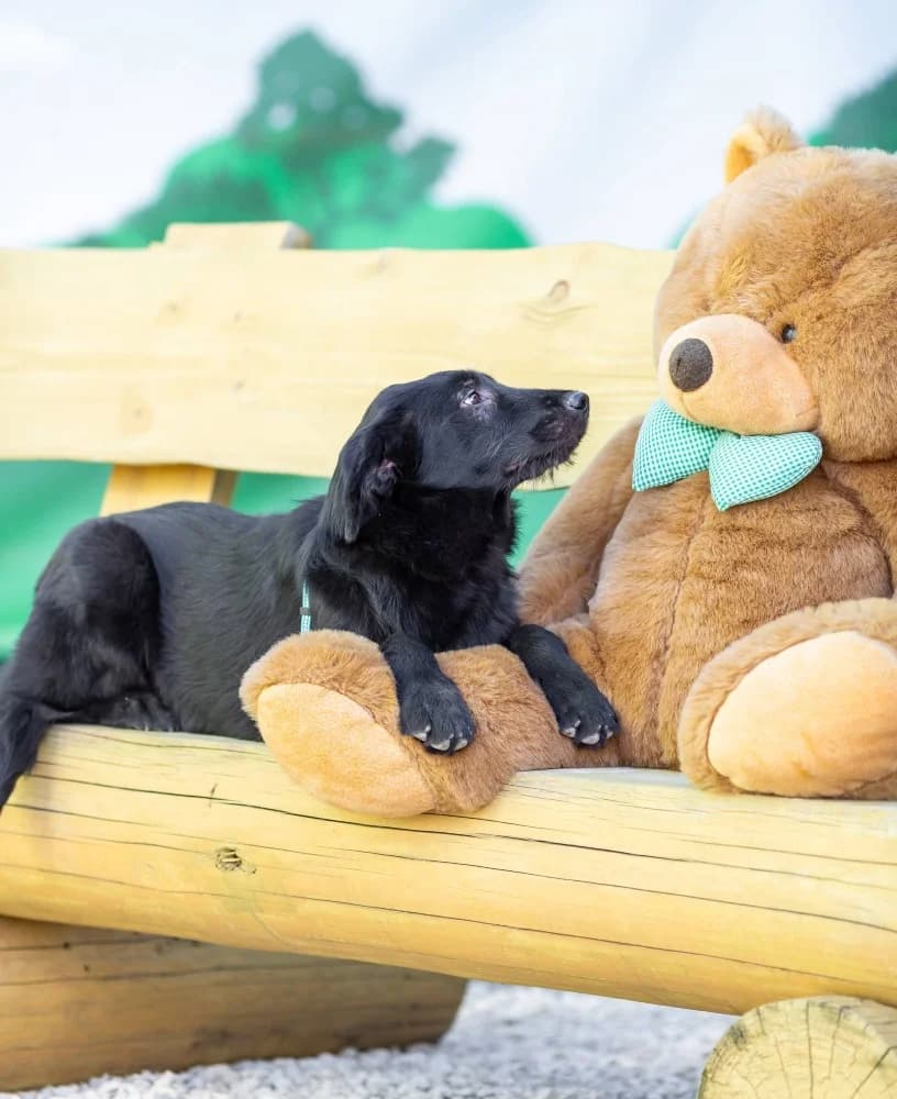 Evan ziel met groot hart photo 3