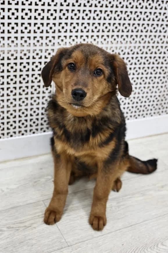 Fiona kleine prinses photo 5