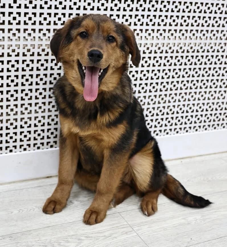 Fiona kleine prinses photo 7