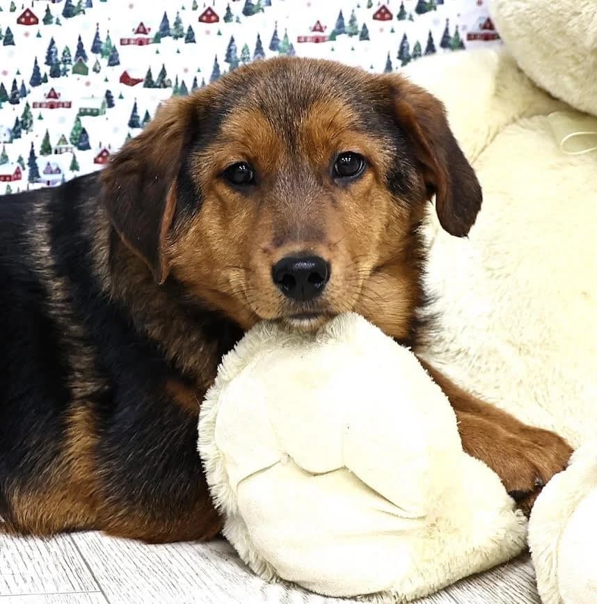 Fiona kleine prinses