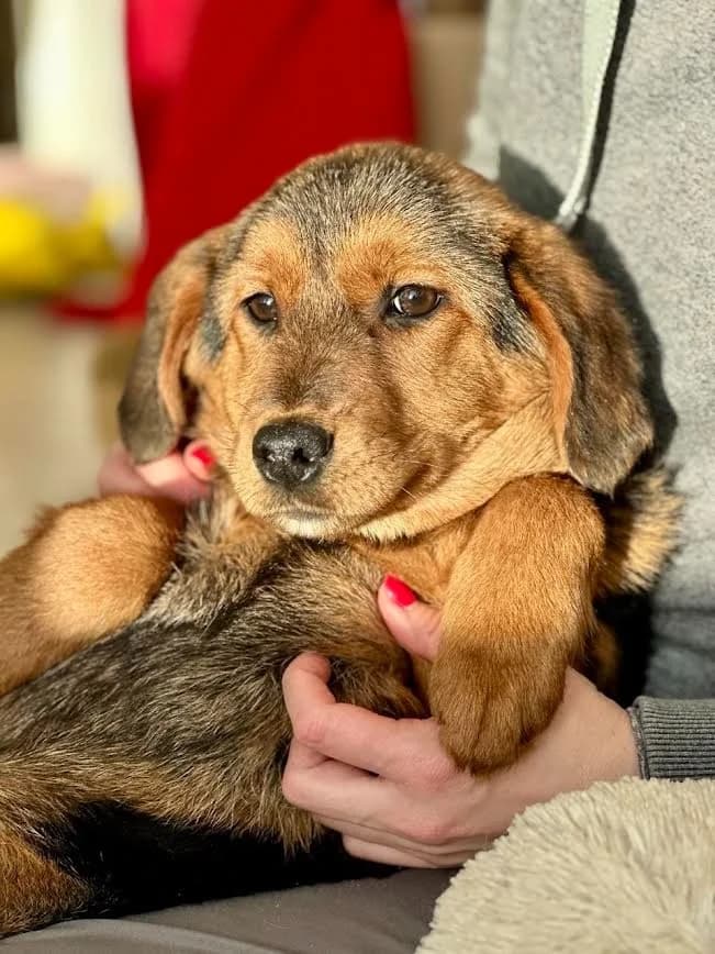 Fiona kleine prinses photo 2