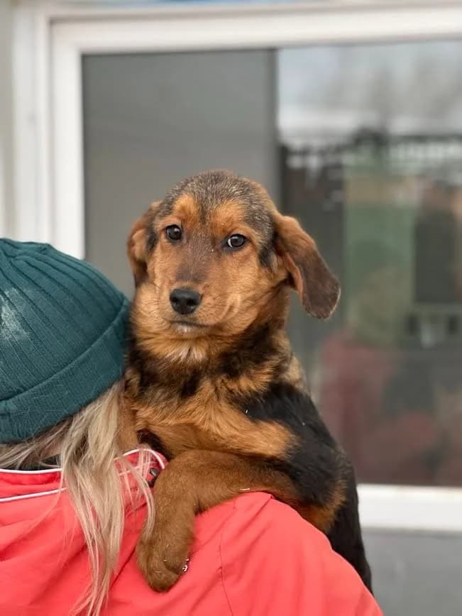 Fiona kleine prinses photo 3