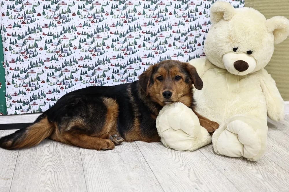 Fiona kleine prinses photo 4