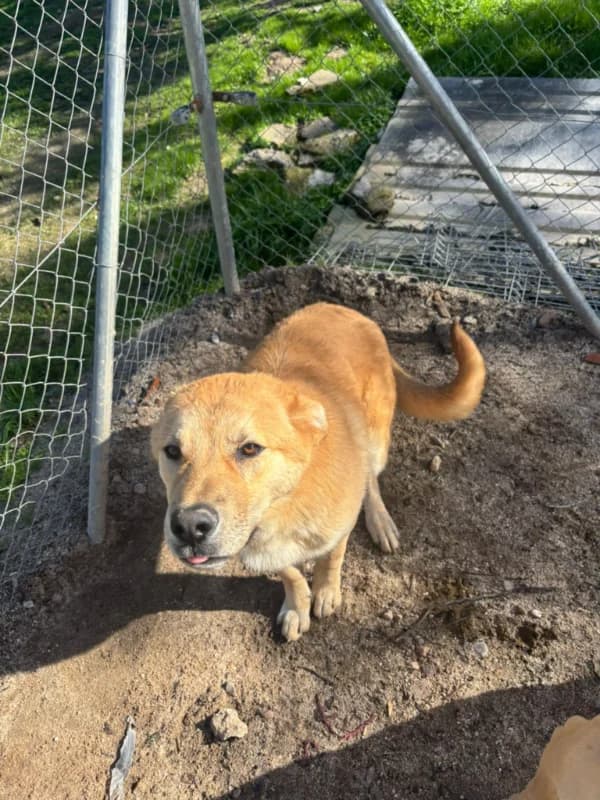 Fitipaldi DC photo 2