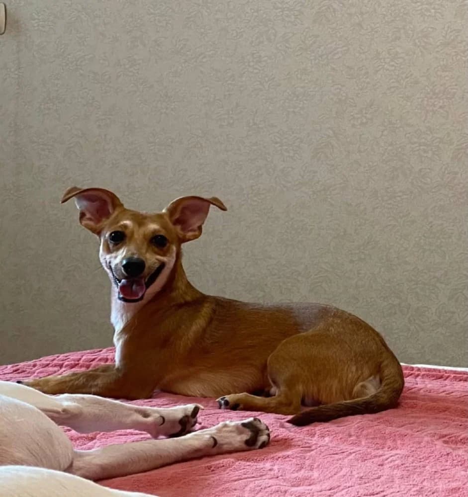 Kaspertje grote charme! photo 2