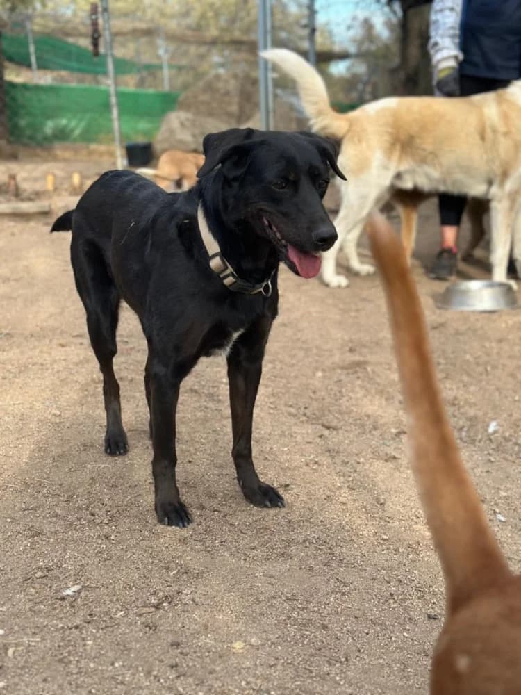 Kika BR senior photo 6