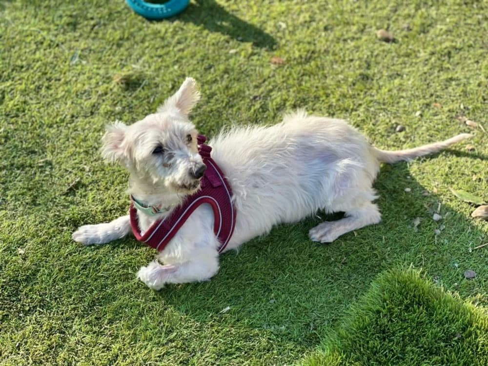 Kopy BR senior photo 5