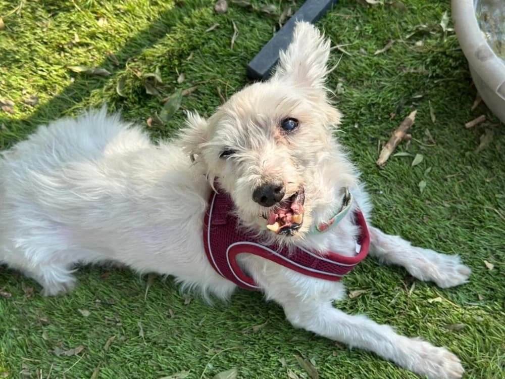 Kopy BR senior photo 4