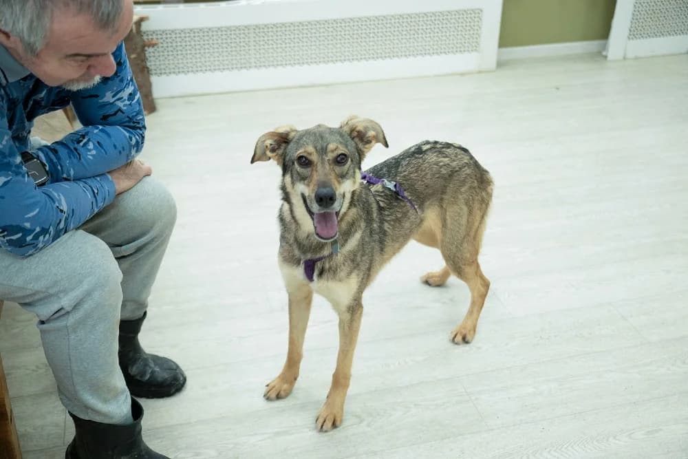 Lika danst door het leven photo 7