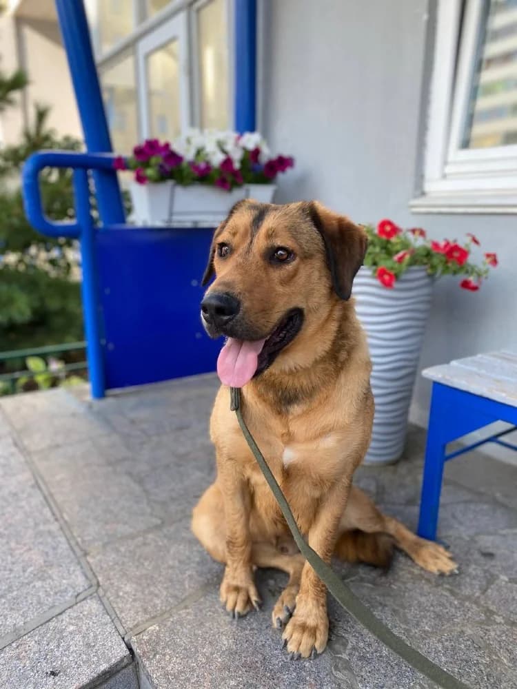 Lowie is een schatje photo 8