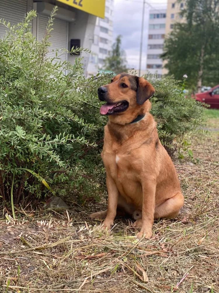 Lowie is een schatje